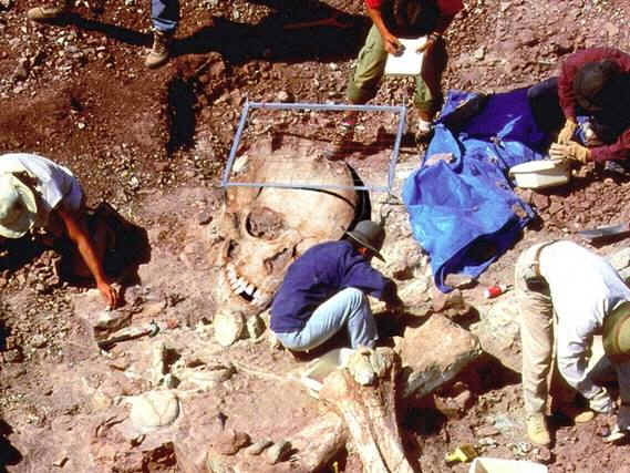 Foto Tengkorak Manusia Raksasa Yang Ditemukan di Yunani 